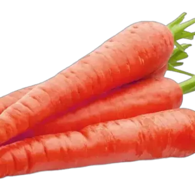 Carrots