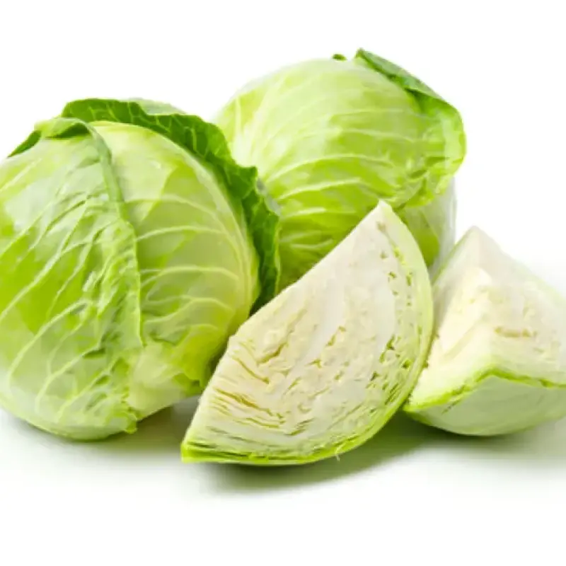 Cabbage