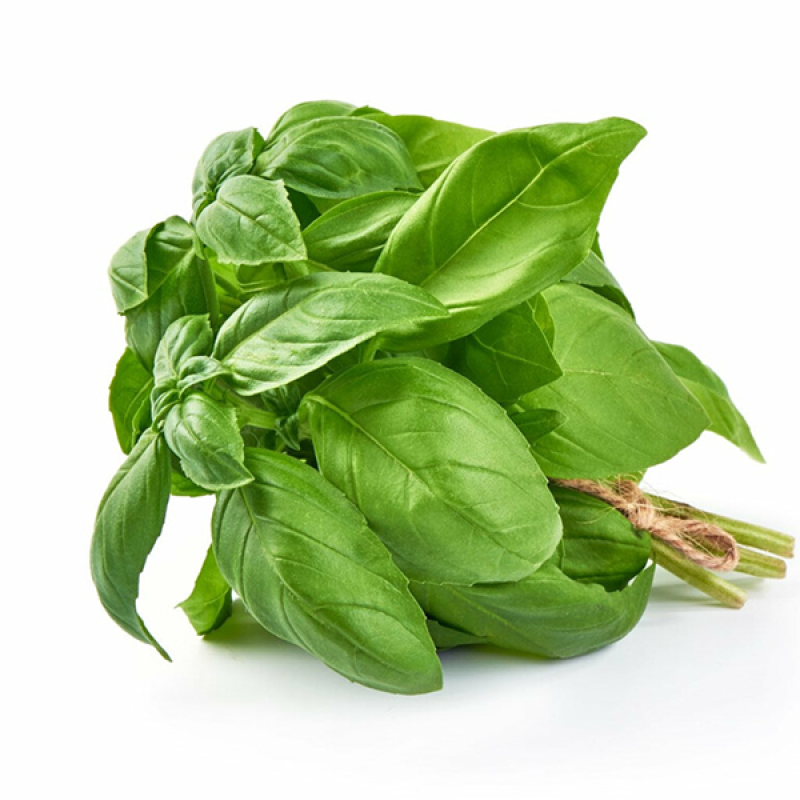 Basil