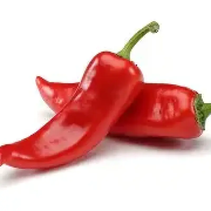 Hot Pepper (Pilipili Kichaa)