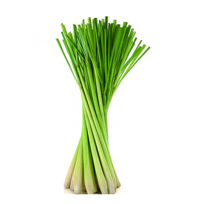 Lemon Grass