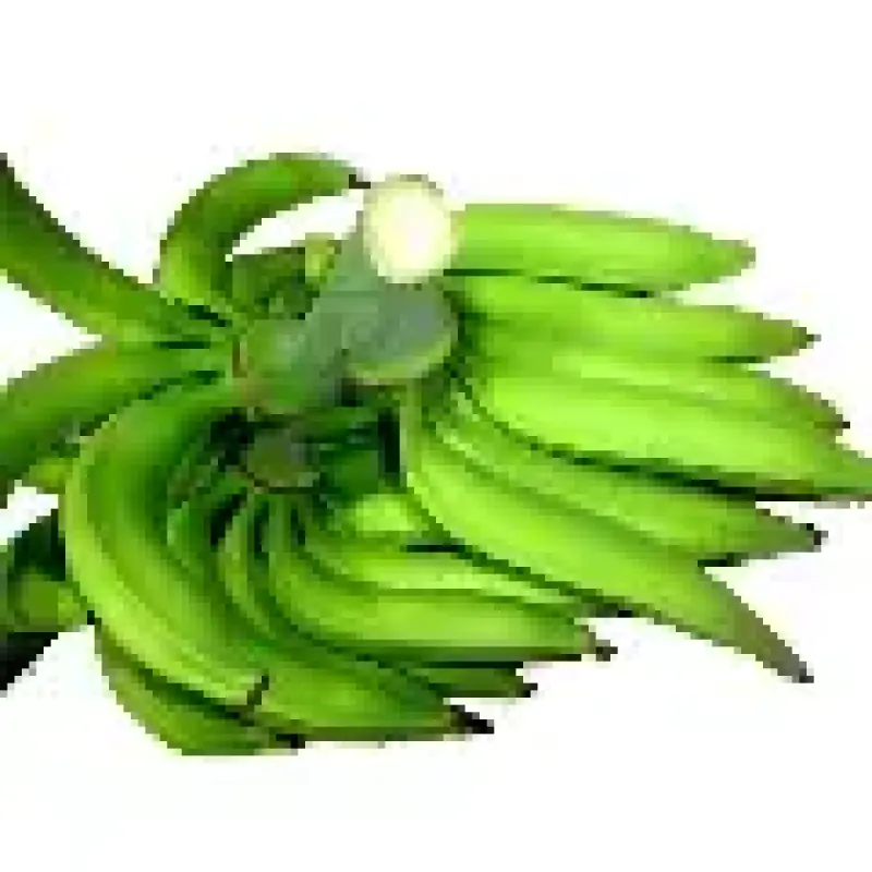 Ndizi Bukoba (Kichane)